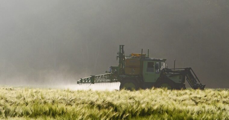 Vorsicht bei diesen 12 Lebensmitteln
